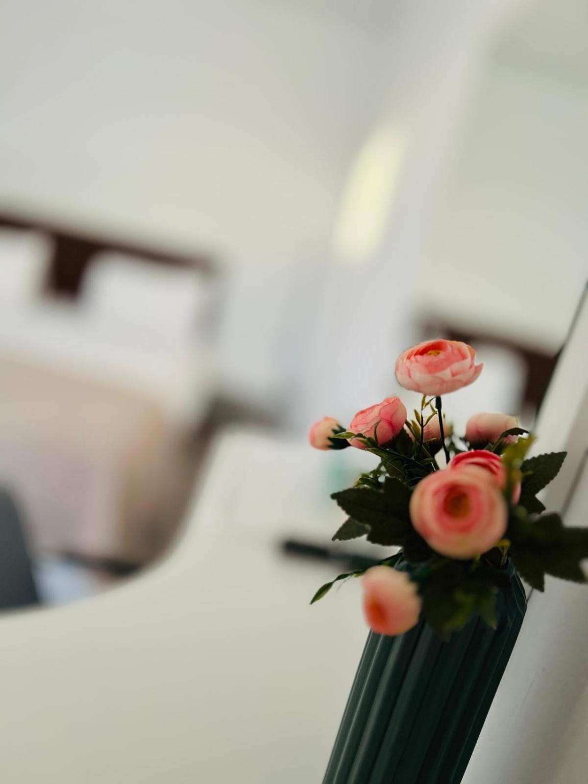 Casa Irina 2Mai Hotel 2 ไม ภายนอก รูปภาพ